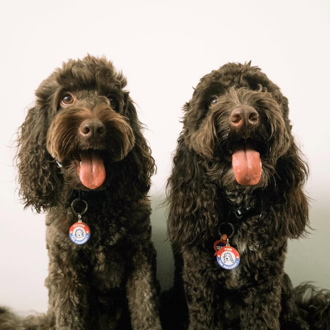For President Doodle Customised Portrait Tag
