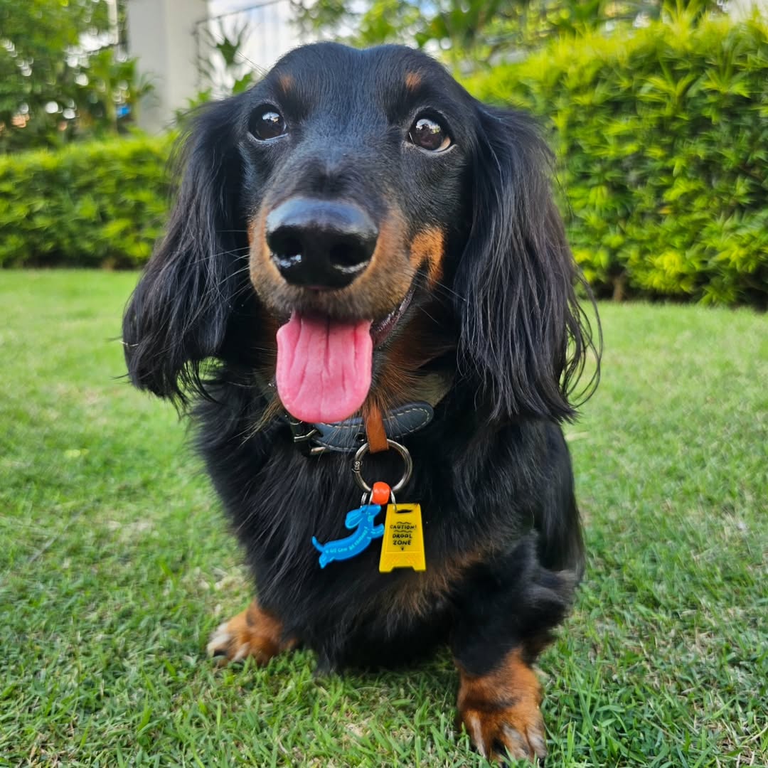 We Can Be Friends Charm