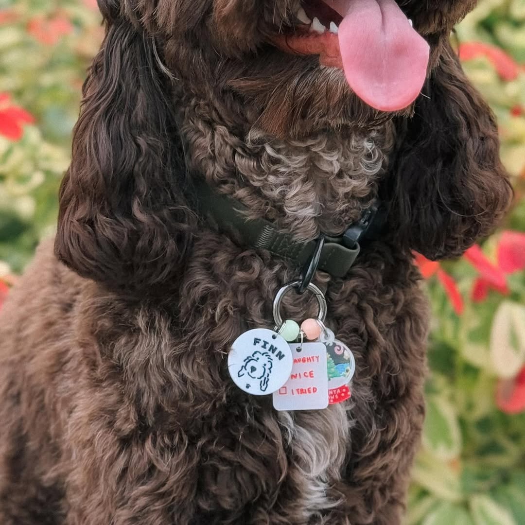 Naughty or Nice Charm