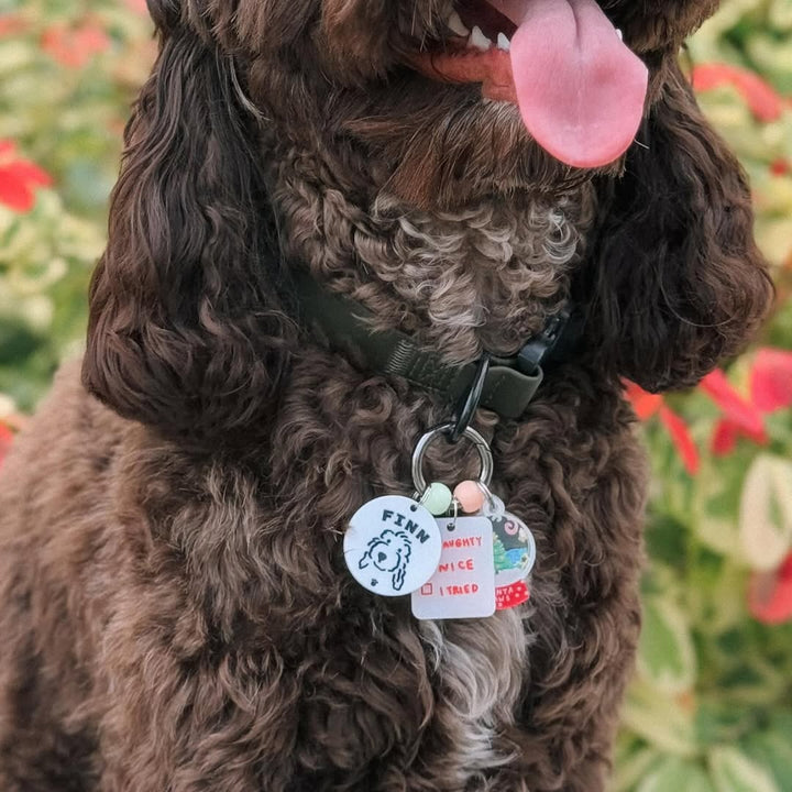 Naughty or Nice Charm