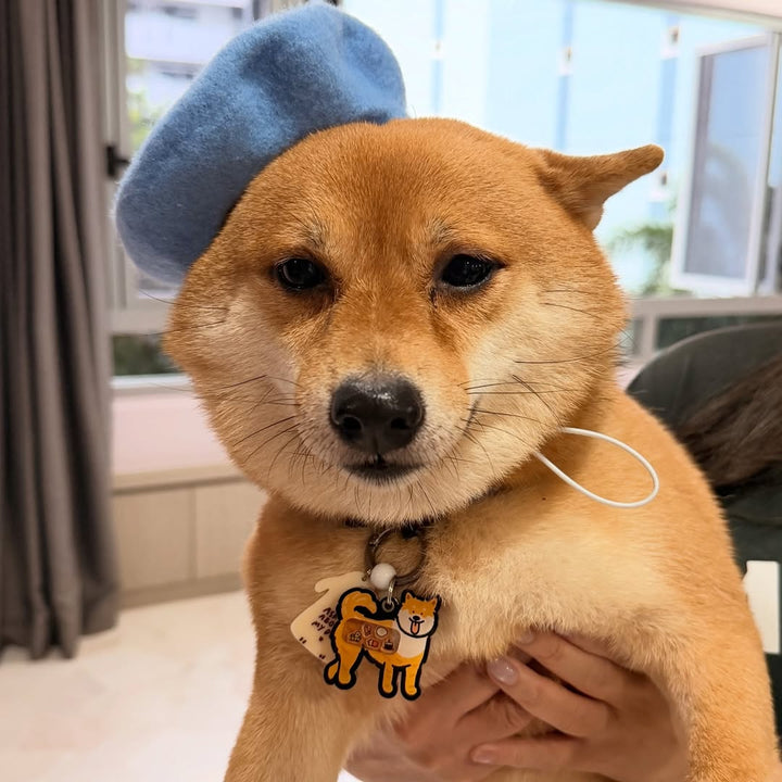 Shiba Inu Shaker Charm