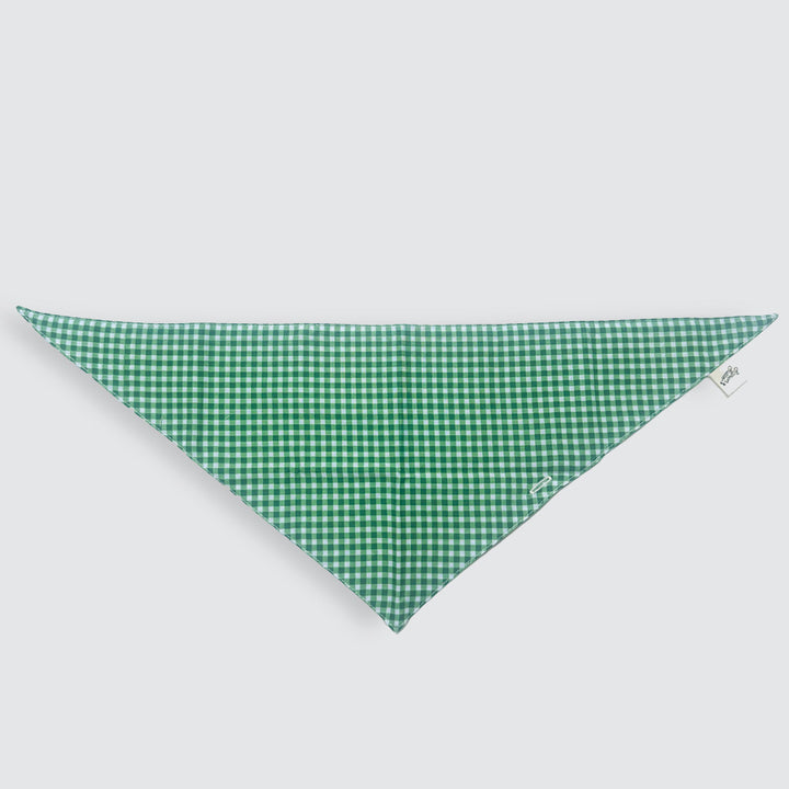 Green Means Go (Green Gingham Bandana)