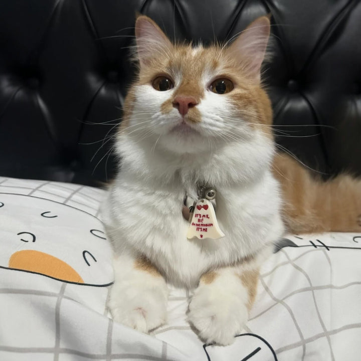 It's Me, Hi! I'm the Problem It's Me Charm