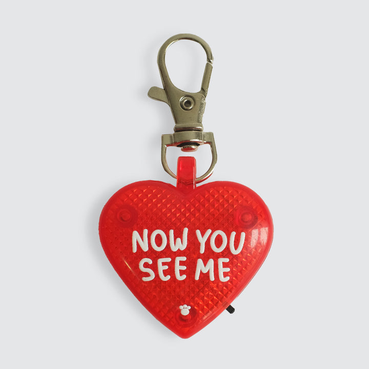 Now You See Me - LED Light Charm
