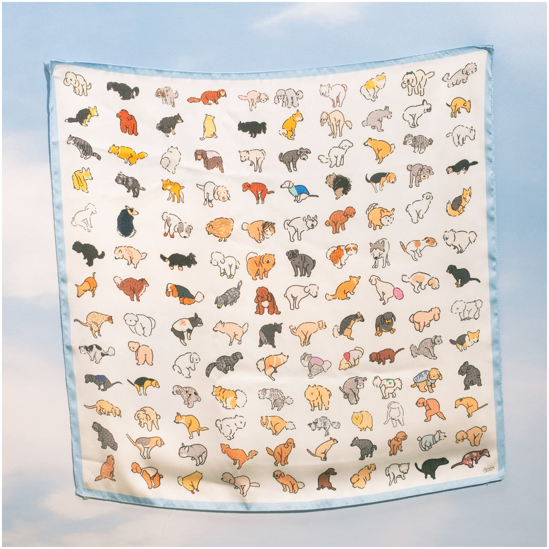 [PREORDER] Caught in the Act Set (White/Baby blue hem scarf)