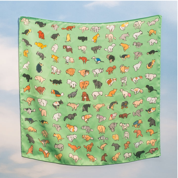 [PREORDER] Caught in the Act Set (Green scarf)