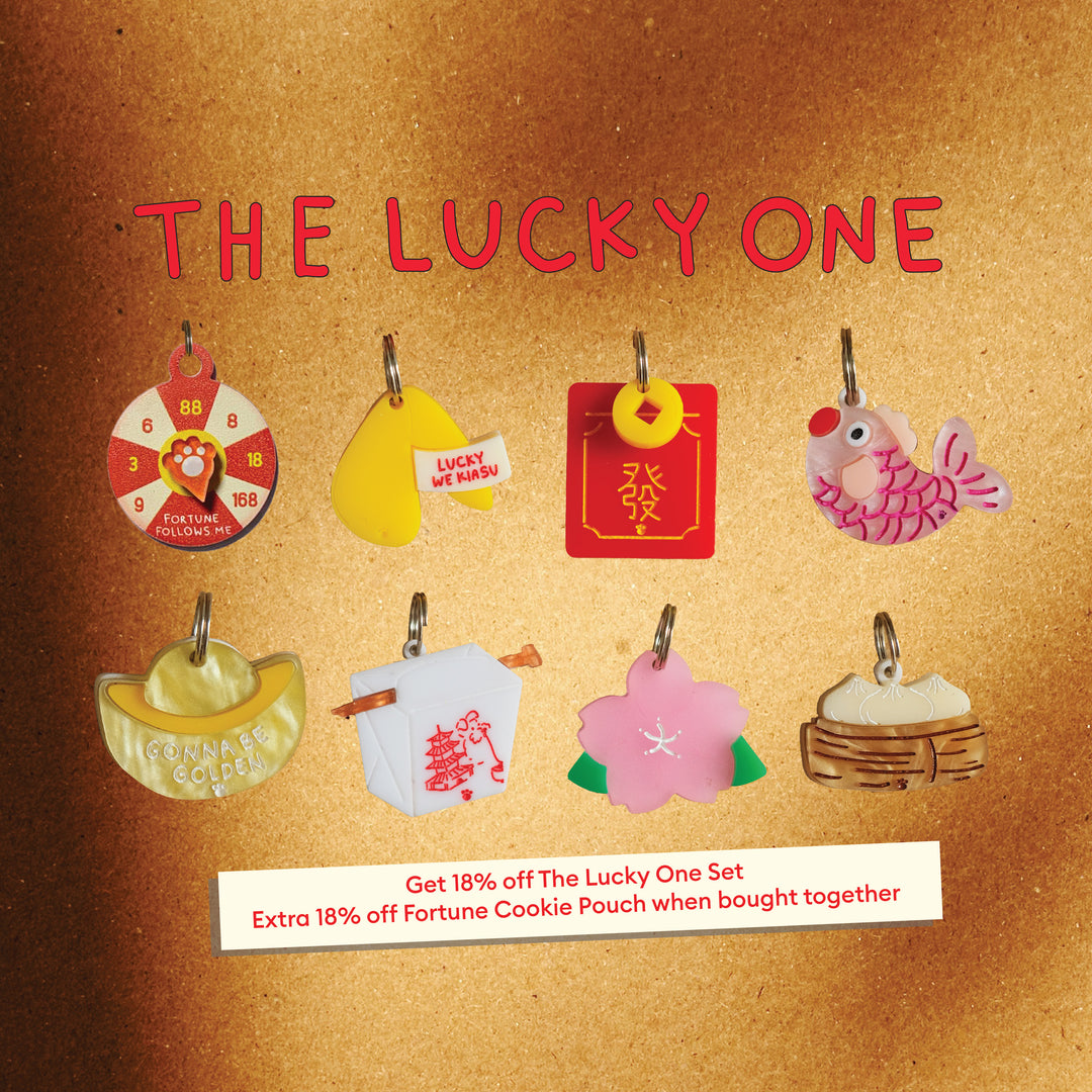 The Lucky One Set Charms