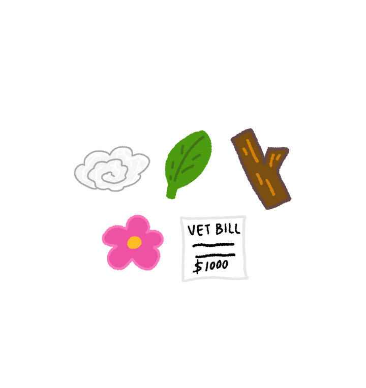 Black Shiba Dog Pooping Shaker Charm