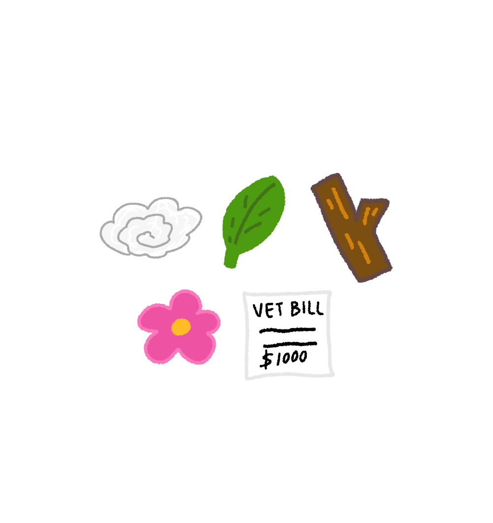 Poodle Mix Dog Pooping Shaker Charm