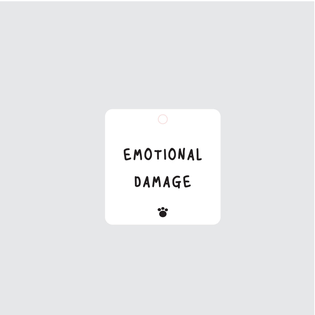 Emotional Damage Charm