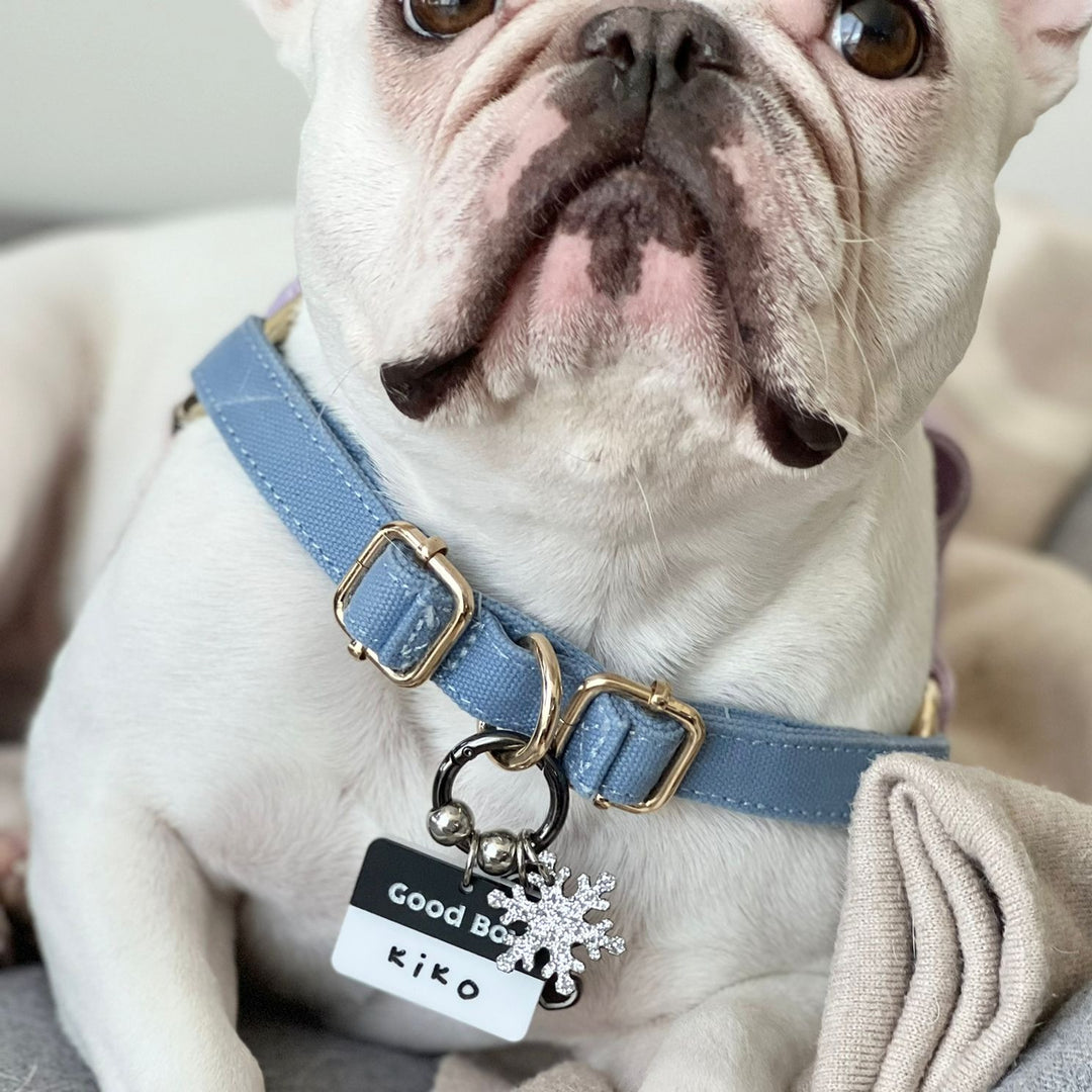 Matte Black Good Boy / Good Girl Customised Tag