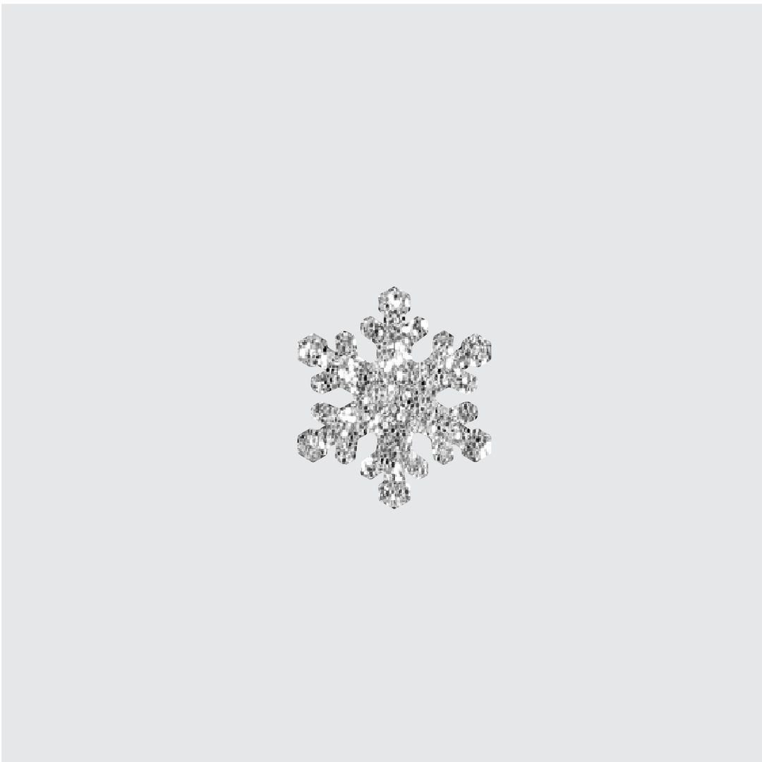 Snow Flake Charm